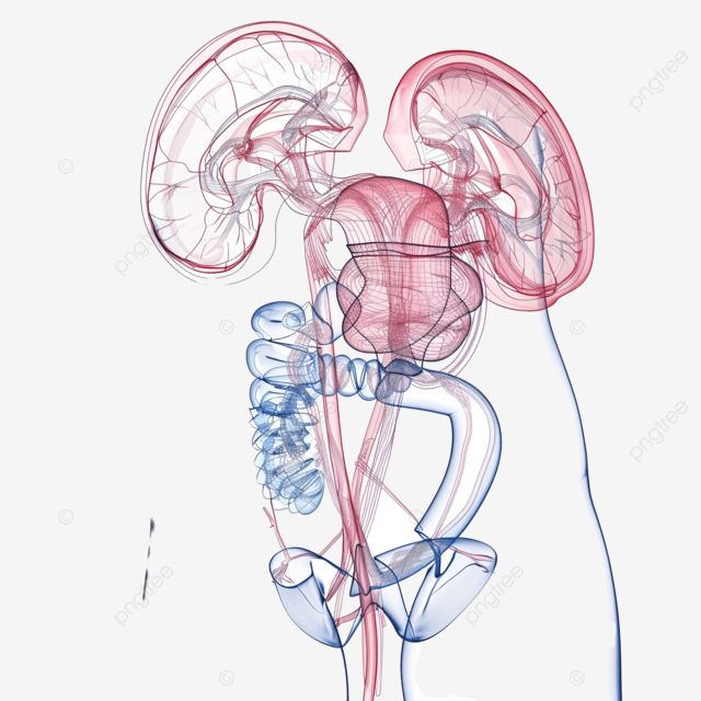 Urology OT